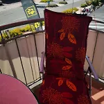Sonnenschein Daire